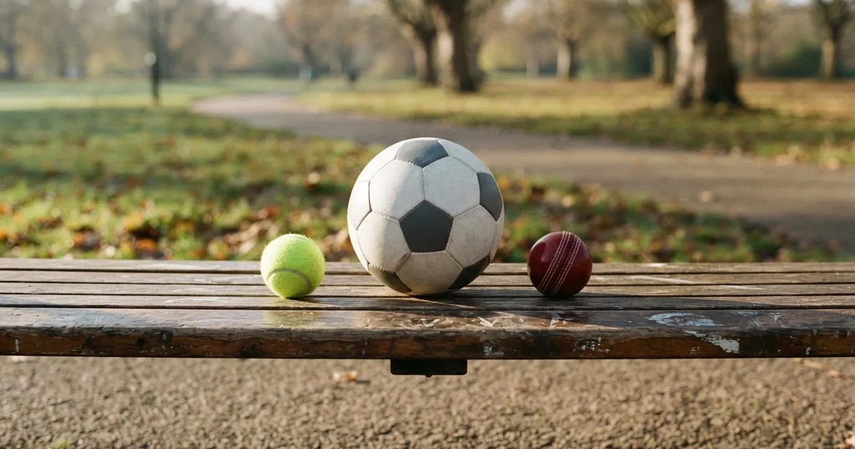 Three balls of different kinds side by side on a wooden bench